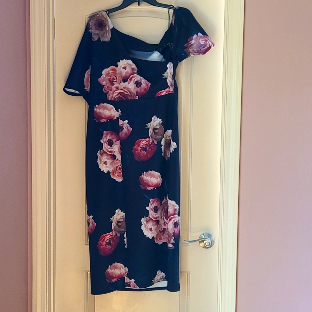 Woman's Dress Size 14